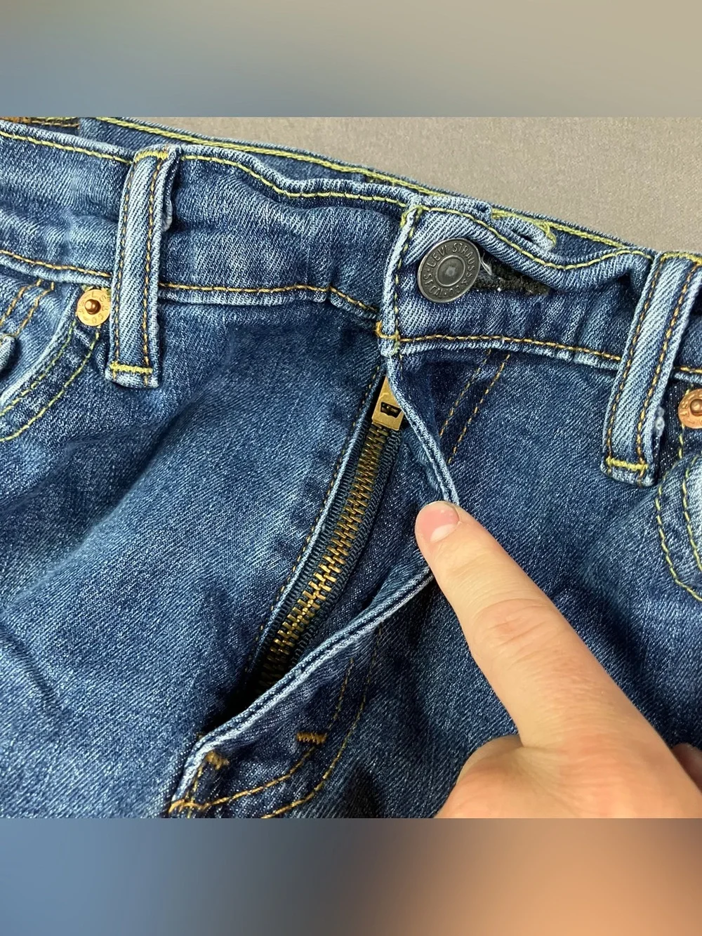 Levis levis 559